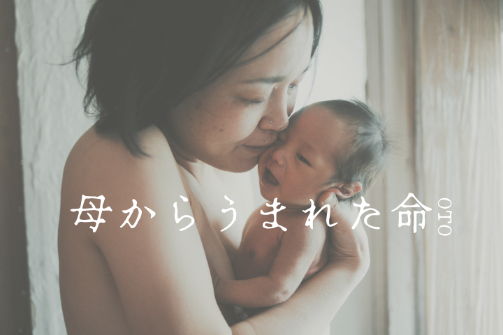 母からうまれた命
